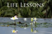Life-Lessons-Header
